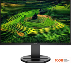 Монитор Philips 230B8QJEB/00 (167779)