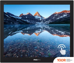 Монитор Philips 172B9TN/00 (167758)