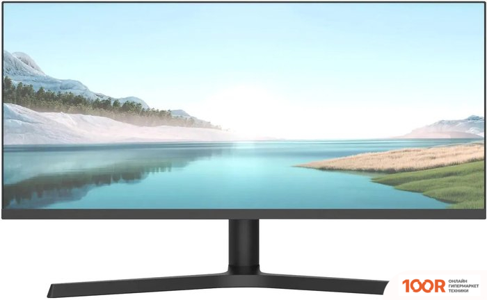 Монитор NPC MZ300L (167746)