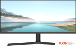 Монитор NPC MZ300L (167746)