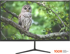 Монитор NPC MF2403-V (167708)