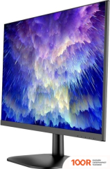 Монитор NPC MD2409-A (167695)