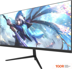 Монитор NPC MA3010-V (167693)