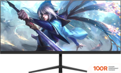 Монитор NPC MA3010-V (167693)