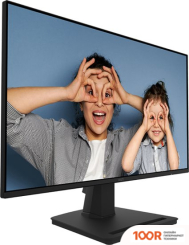 Монитор MSI PRO MP252 (167645)