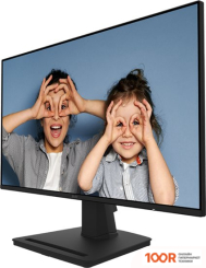 Монитор MSI PRO MP252 (167645)