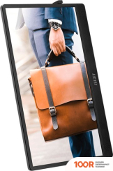 Монитор MSI PRO MP161 E2 (167618)