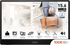 Монитор MSI PRO MP161 E2 (167618)