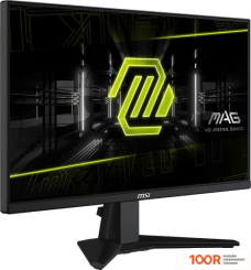 Монитор MSI MAG 255XF (167472)