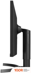 Монитор LG ULTRAWIDE 34WN750P-B (167327)