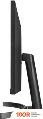 Монитор LG ULTRAWIDE 34WN700-B (167325)