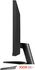 Монитор LG ULTRAWIDE 29WQ500-B (167318)