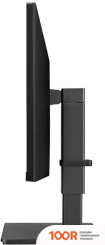 Монитор LG 34BN670P-B (167211)