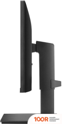 Монитор LG 24QP550-B (167152)