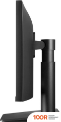 Монитор LG 24MP450P-B (167145)