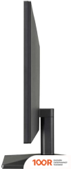 Монитор LG 24EA430V-B (167138)