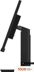 Монитор Lenovo THINKVISION T24M-29 63A5GAT6EU (167083)