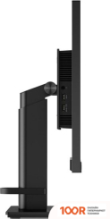 Монитор Lenovo THINKVISION P24H-2L 62B2GAT1EU (167025)