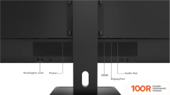 Монитор Lenovo THINKVISION E29W-20 (167016)