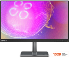 Монитор Lenovo L24Q-35 (166930)