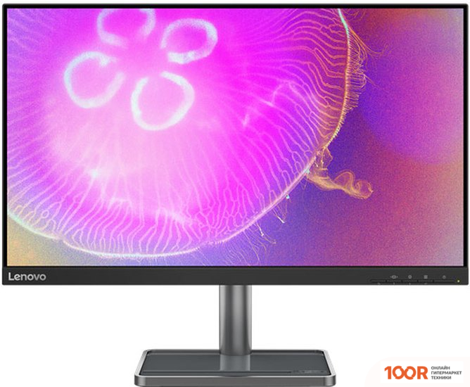 Монитор Lenovo L24Q-35 (166930)