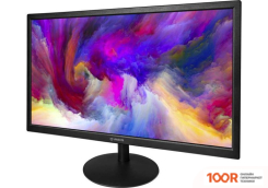 Монитор IRBIS VIEWORLD 22 (166830)