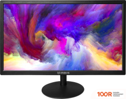 Монитор IRBIS VIEWORLD 22 (166830)