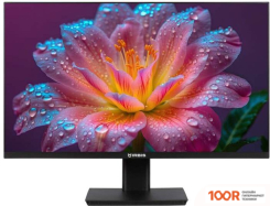 Монитор IRBIS SMARTVIEW IMVW24FID01 (166819)