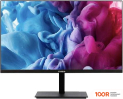 Монитор IRBIS SMARTVIEW 24FILUS01_MIR (166808)