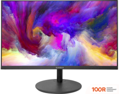 Монитор IRBIS SMARTVIEW 22FID (166797)
