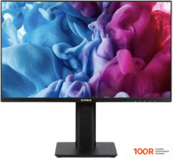 Монитор IRBIS MIRVIEW 24FID120_MIR (166789)