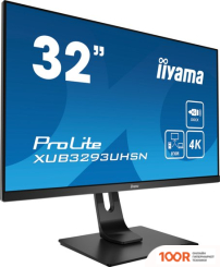 Монитор Iiyama PROLITE XUB3293UHSN-B1 (166776)