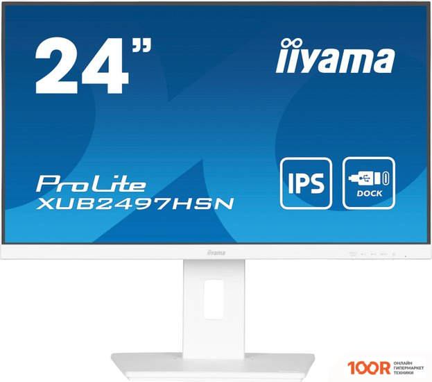 Монитор Iiyama PROLITE XUB2497HSN-W1 (166723)