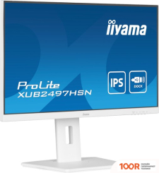 Монитор Iiyama PROLITE XUB2497HSN-W1 (166723)