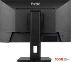 Монитор Iiyama PROLITE XUB2493HSU-B6 (166711)