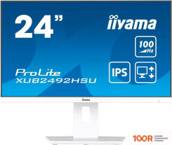 Монитор Iiyama PROLITE XUB2492HSU-W6 (166705)