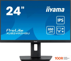 Монитор Iiyama PROLITE XUB2492HSU-B6 (166703)