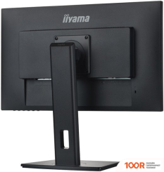 Монитор Iiyama PROLITE XUB2492HSU-B5 (166702)