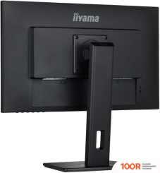 Монитор Iiyama PROLITE XUB2492HSU-B5 (166702)