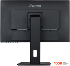 Монитор Iiyama PROLITE XUB2492HSU-B5 (166702)