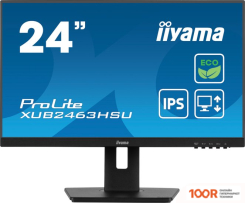 Монитор Iiyama PROLITE XUB2463HSU-B1 (166695)