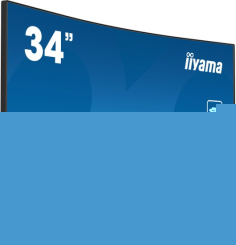 Монитор Iiyama PROLITE XCB3494WQSN-B1 (166649)