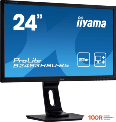 Монитор Iiyama PROLITE B2483HSU-B5 (166621)