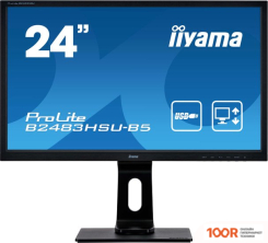 Монитор Iiyama PROLITE B2483HSU-B5 (166621)