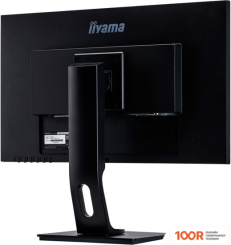 Монитор Iiyama PROLITE B2483HSU-B5 (166621)