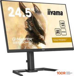 Монитор Iiyama G-MASTER GOLD PHOENIX GB2590HSU-B5 (166598)