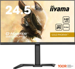 Монитор Iiyama G-MASTER GOLD PHOENIX GB2590HSU-B5 (166598)