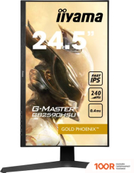 Монитор Iiyama G-MASTER GB2590HSU-B1 (166593)