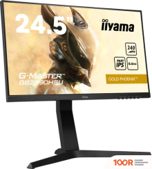 Монитор Iiyama G-MASTER GB2590HSU-B1 (166593)