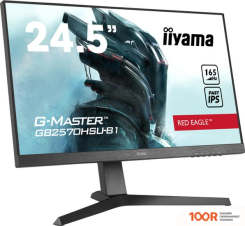 Монитор Iiyama G-MASTER GB2570HSU-B1 (166592)
